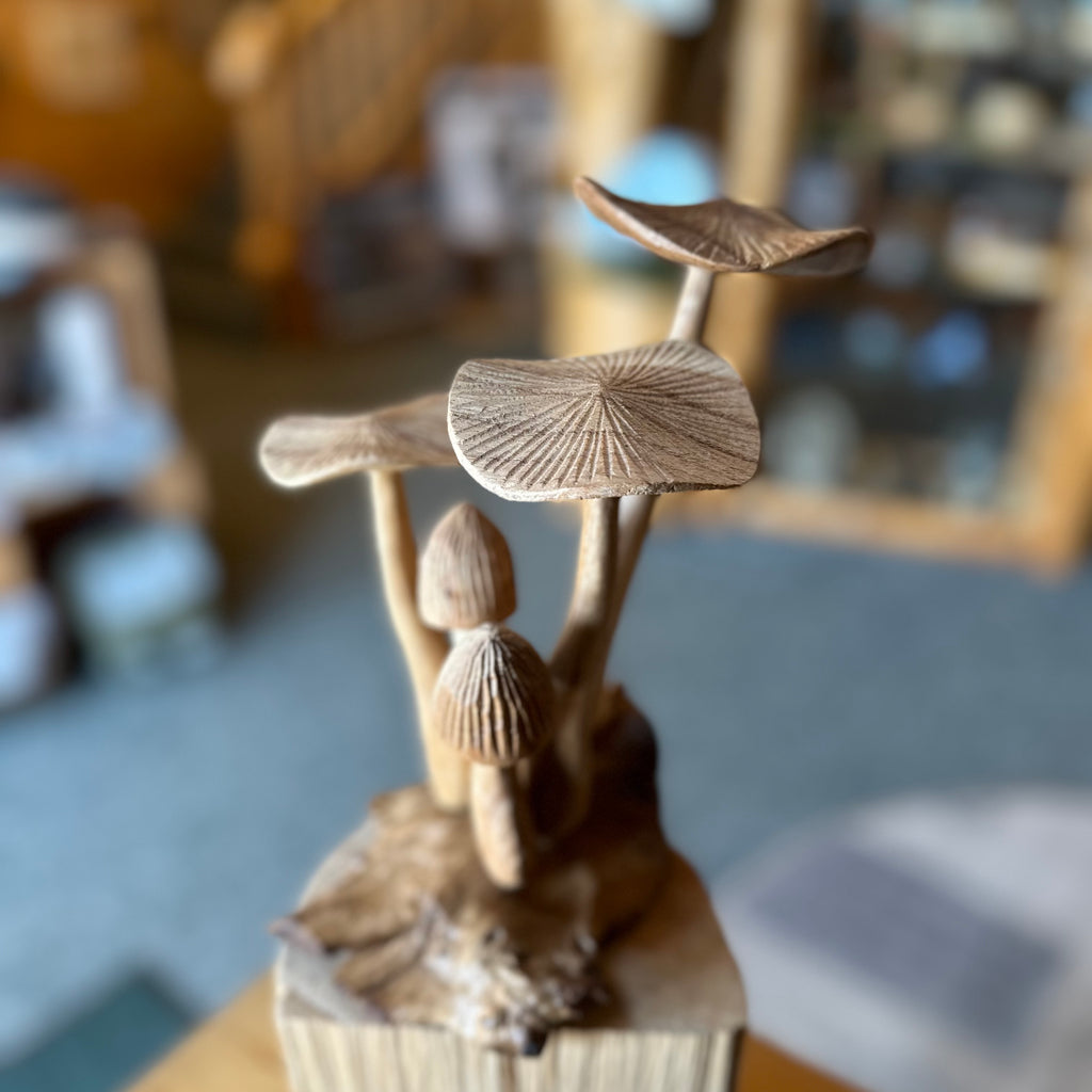 WOOD MUSHROOMS 3 FLAT/2 CAP 9”