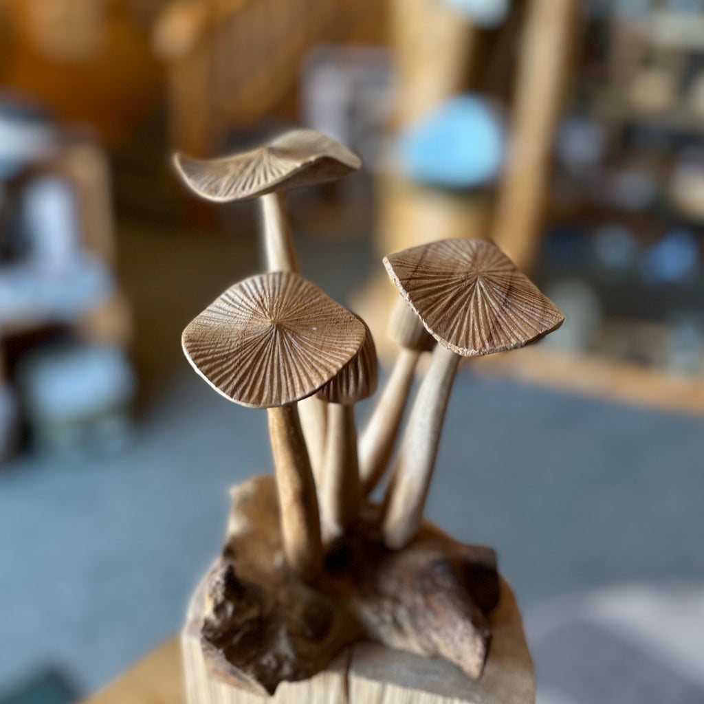 WOOD MUSHROOMS 3 FLAT/2 CAP 9”