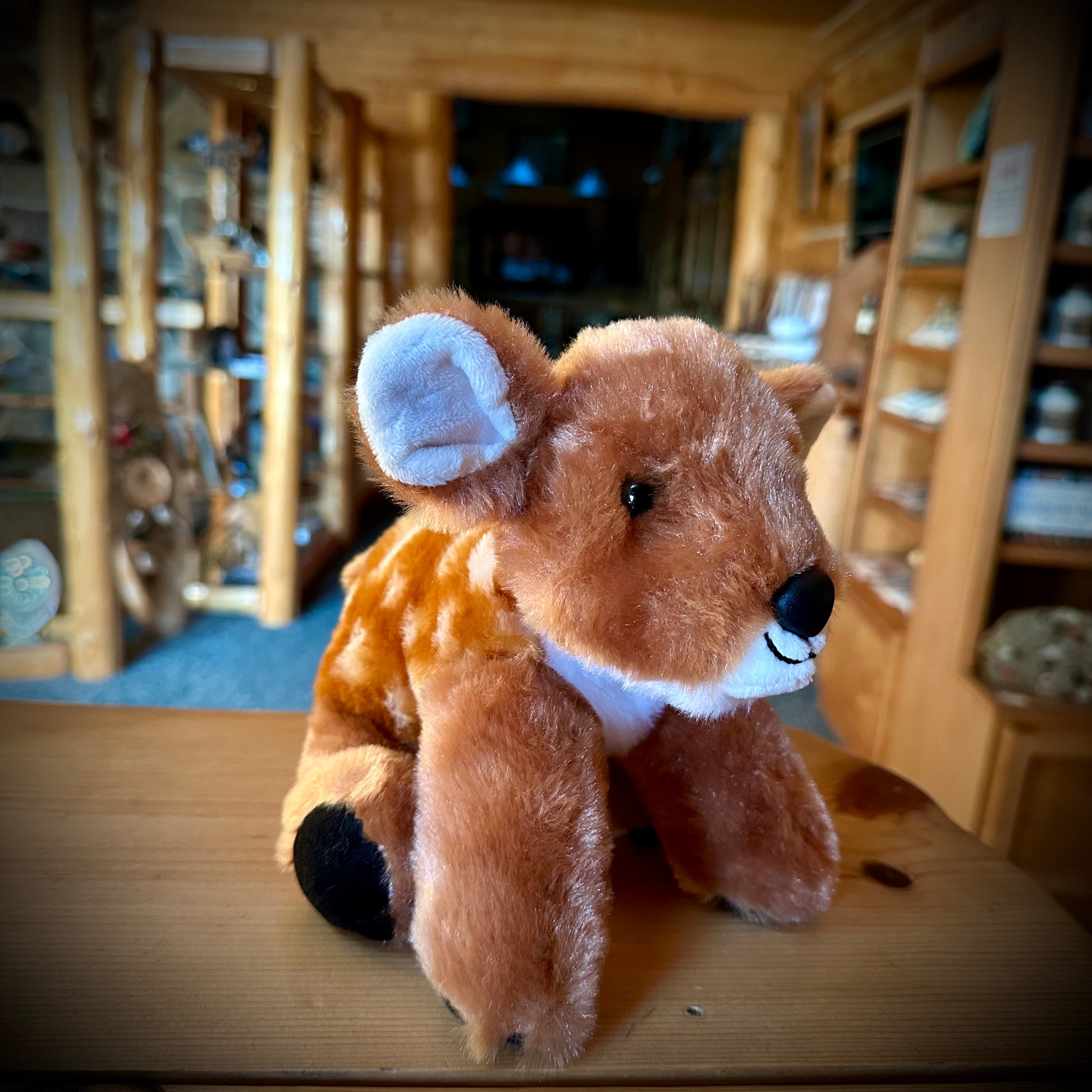 FAWN 8”