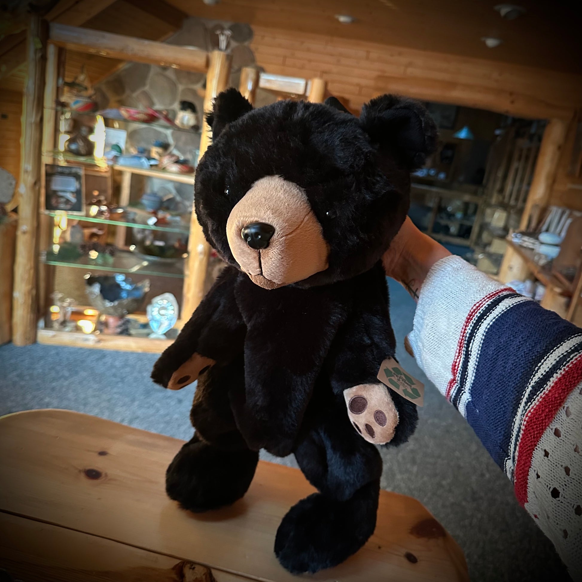 BLACK BEAR BACKPACK