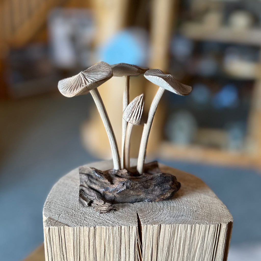 WOOD MUSHROOMS 3FLAT/1CAP