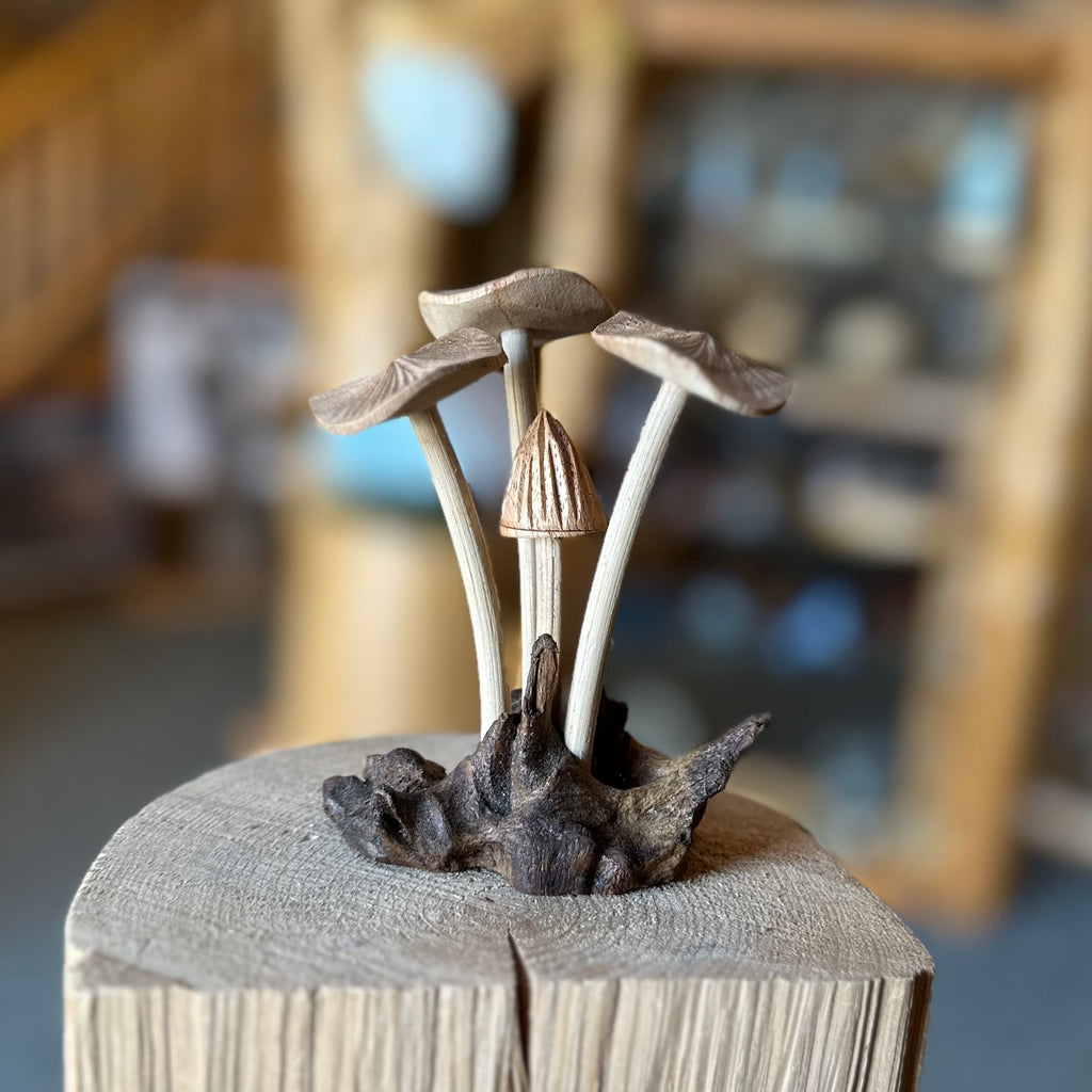 WOOD MUSHROOMS 3FLAT/1CAP