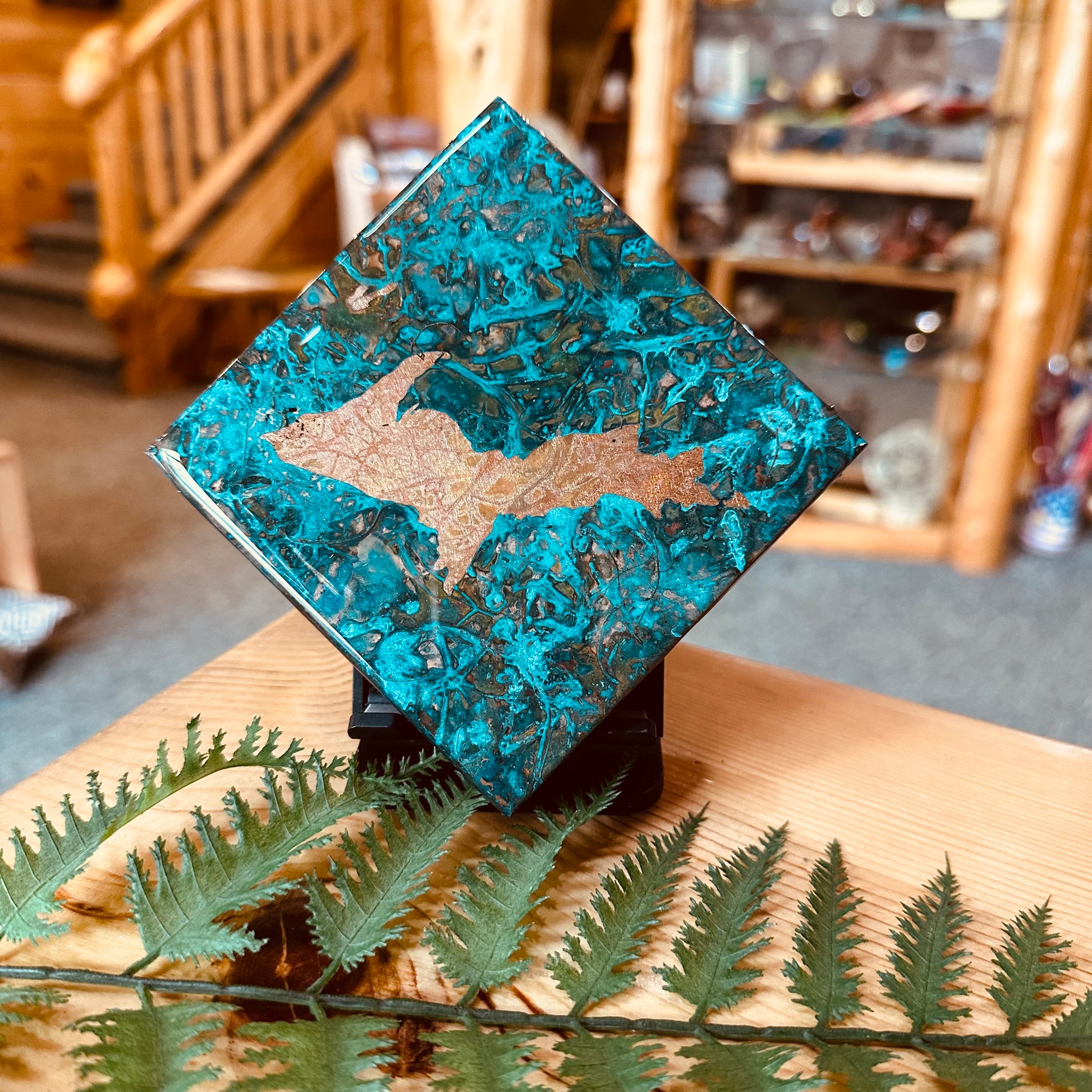 COASTER UPPER PENINSULA