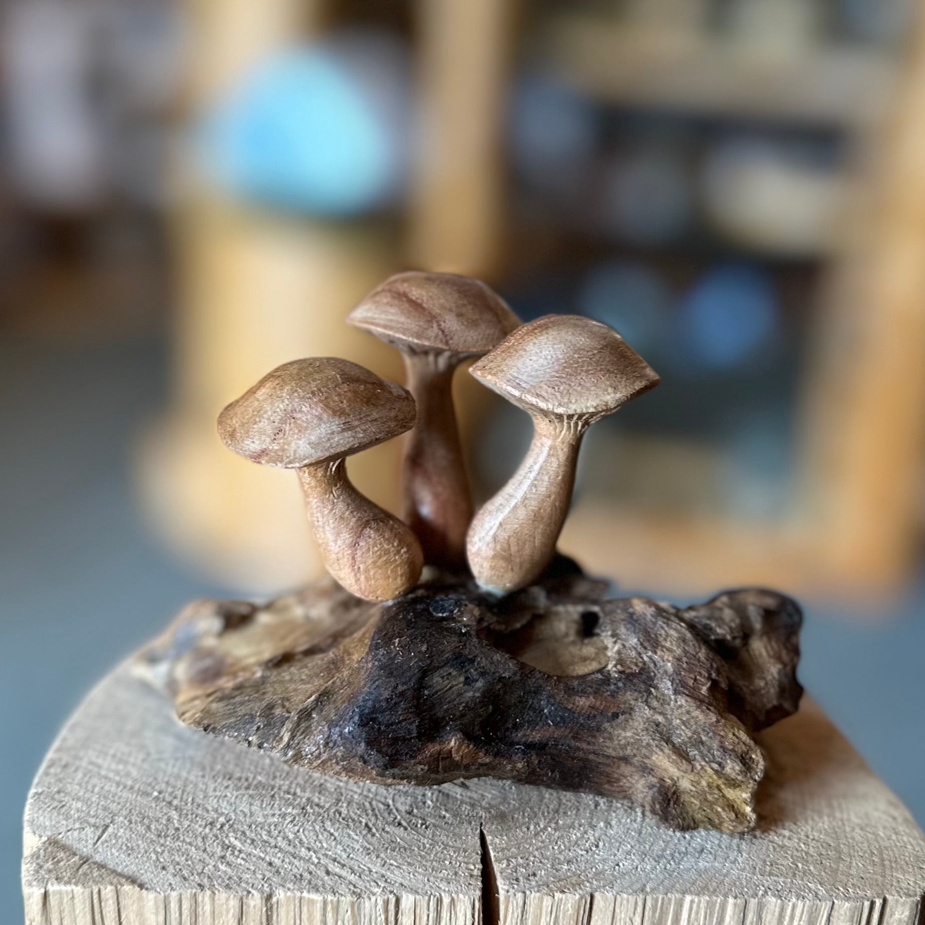 WOOD MUSHROOMS 3 SM SMOOTH