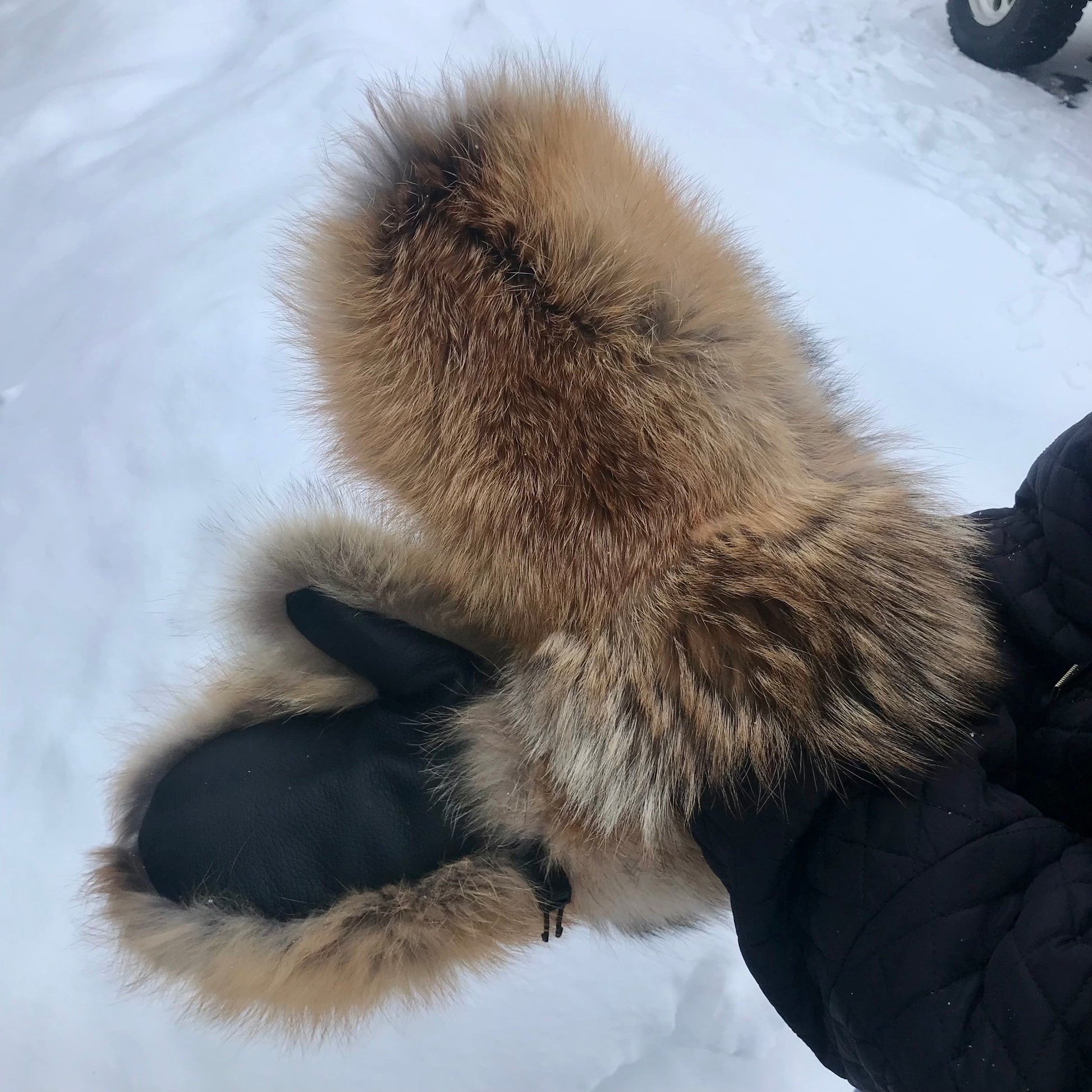 Coyote/Red Fox Women’s Mittens