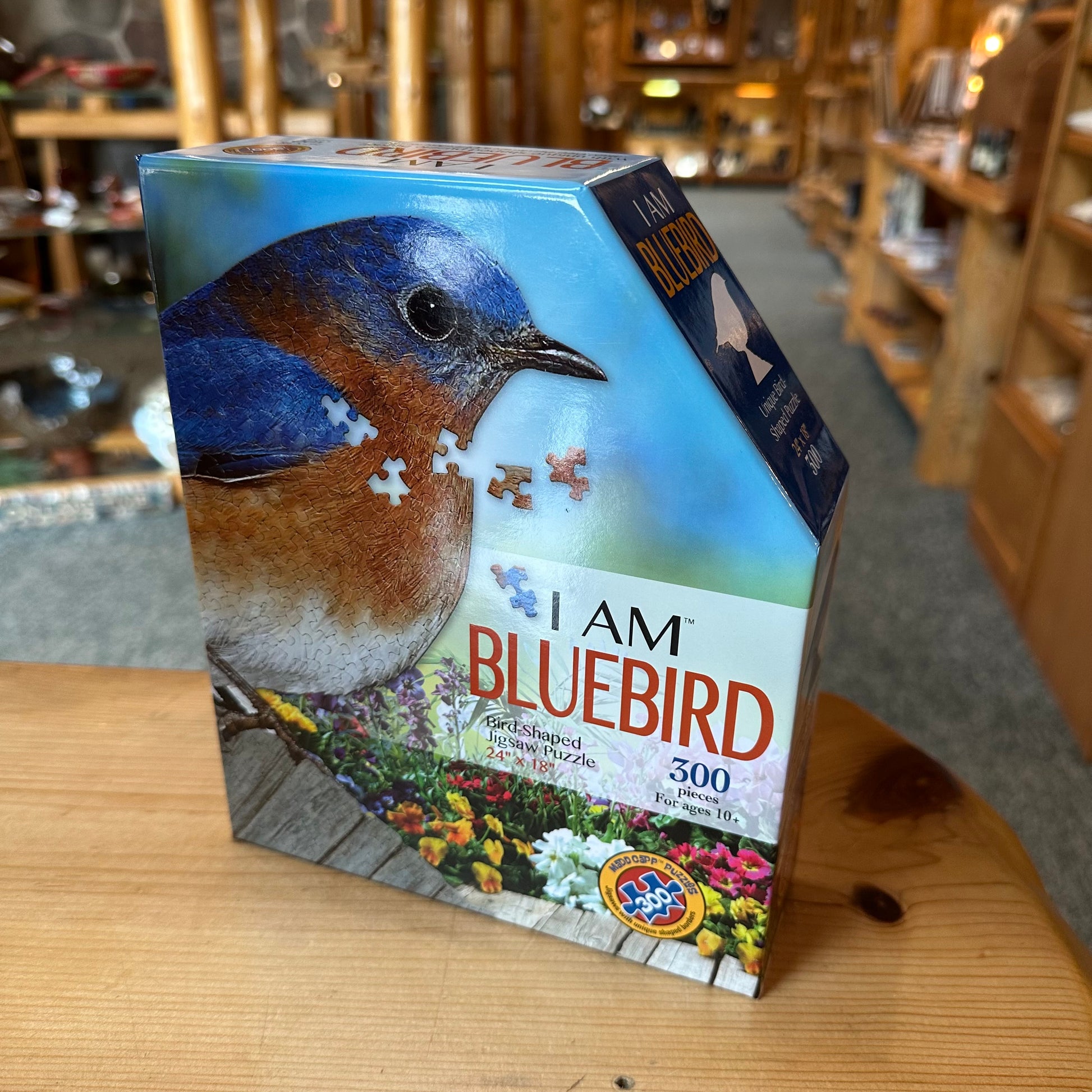 I AM BLUEBIRD 300 pc