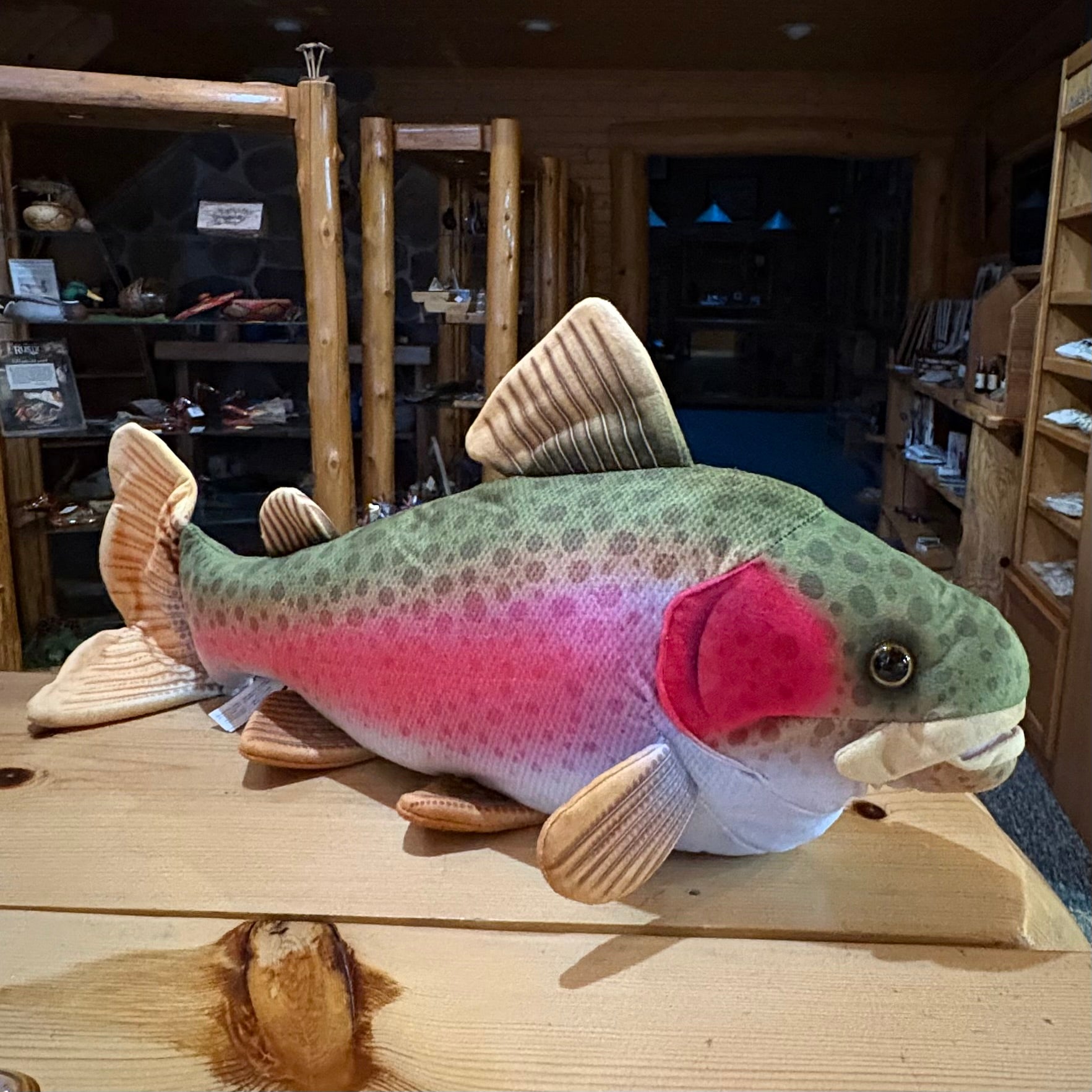 RAINBOW TROUT 21”