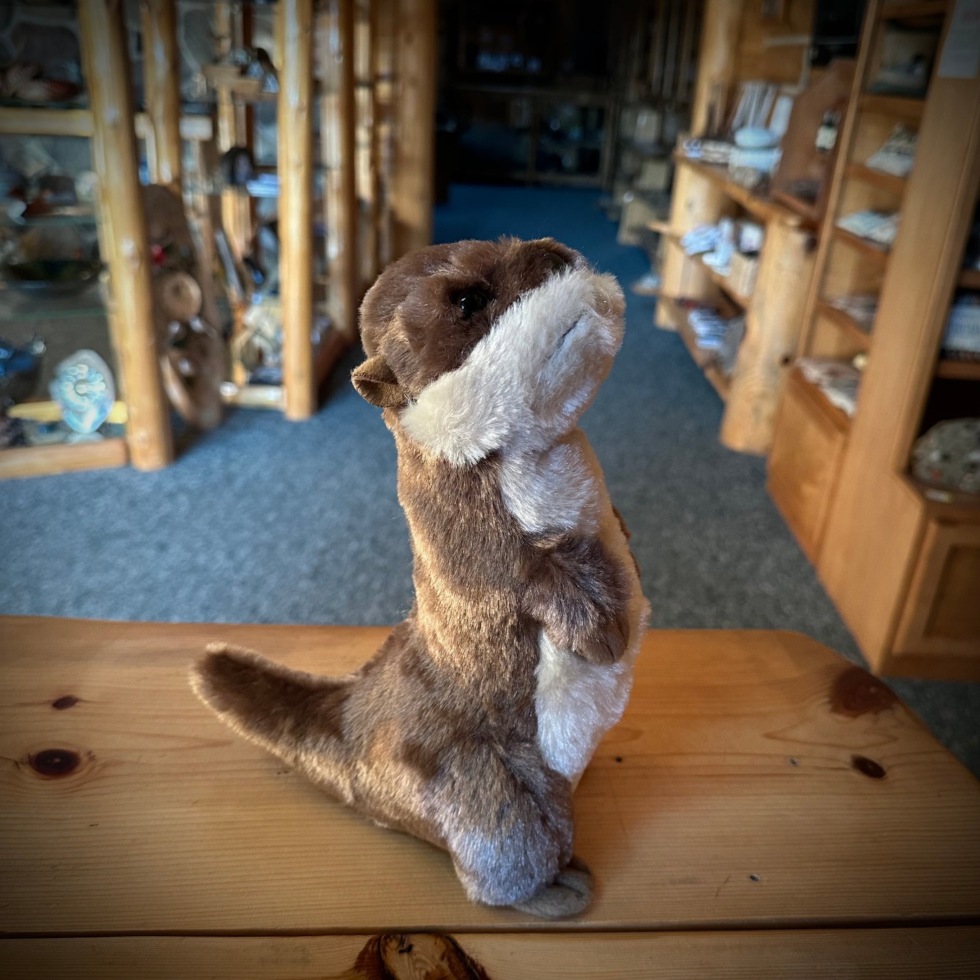 STANDING RIVER OTTER