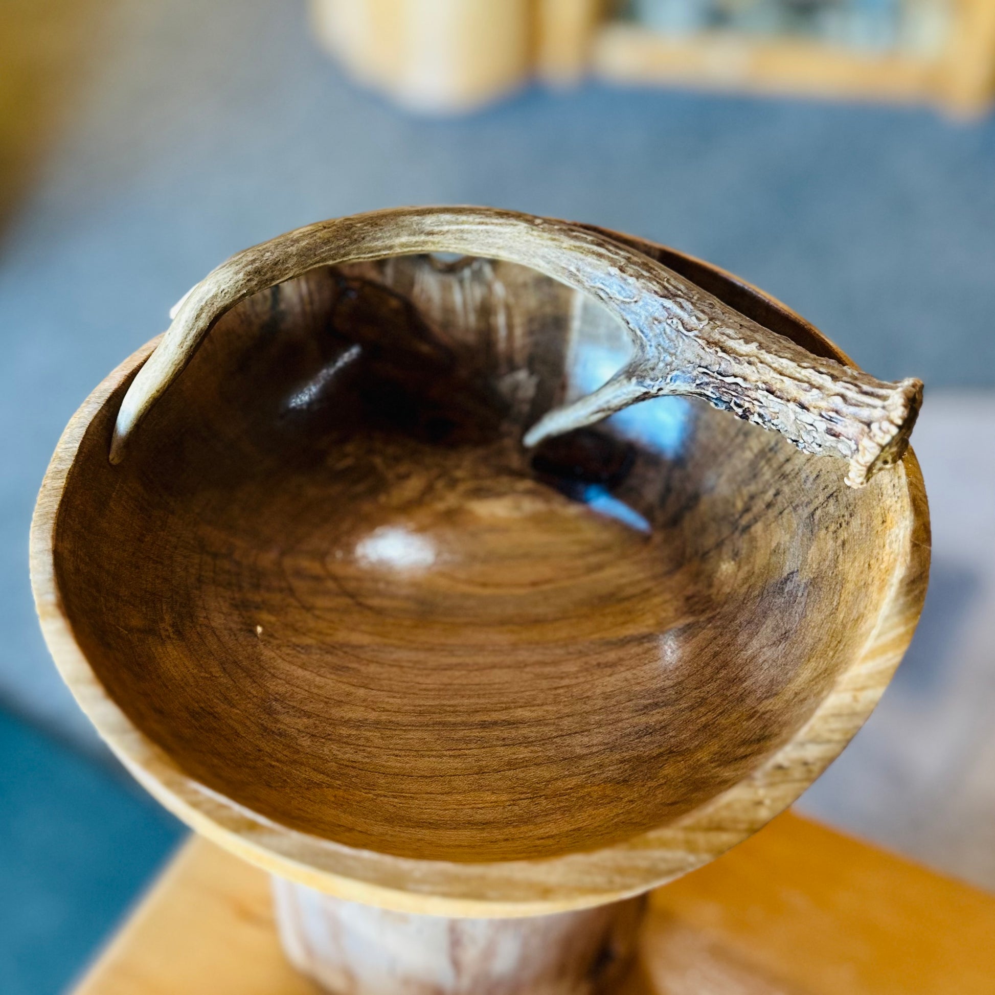 ASH BOWL W/ANTLER