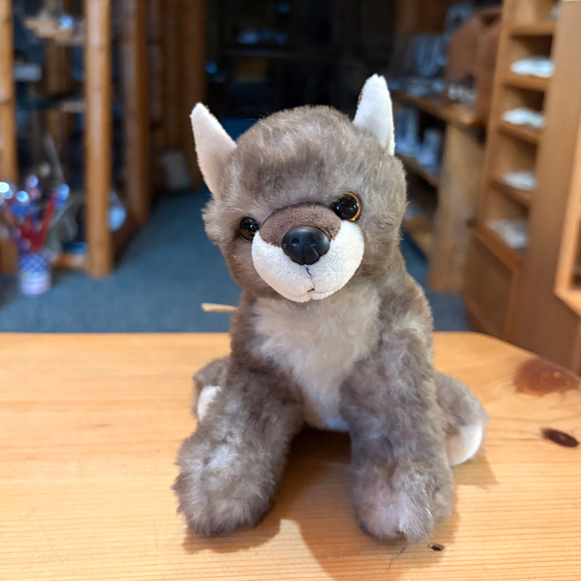 WOLF 6”