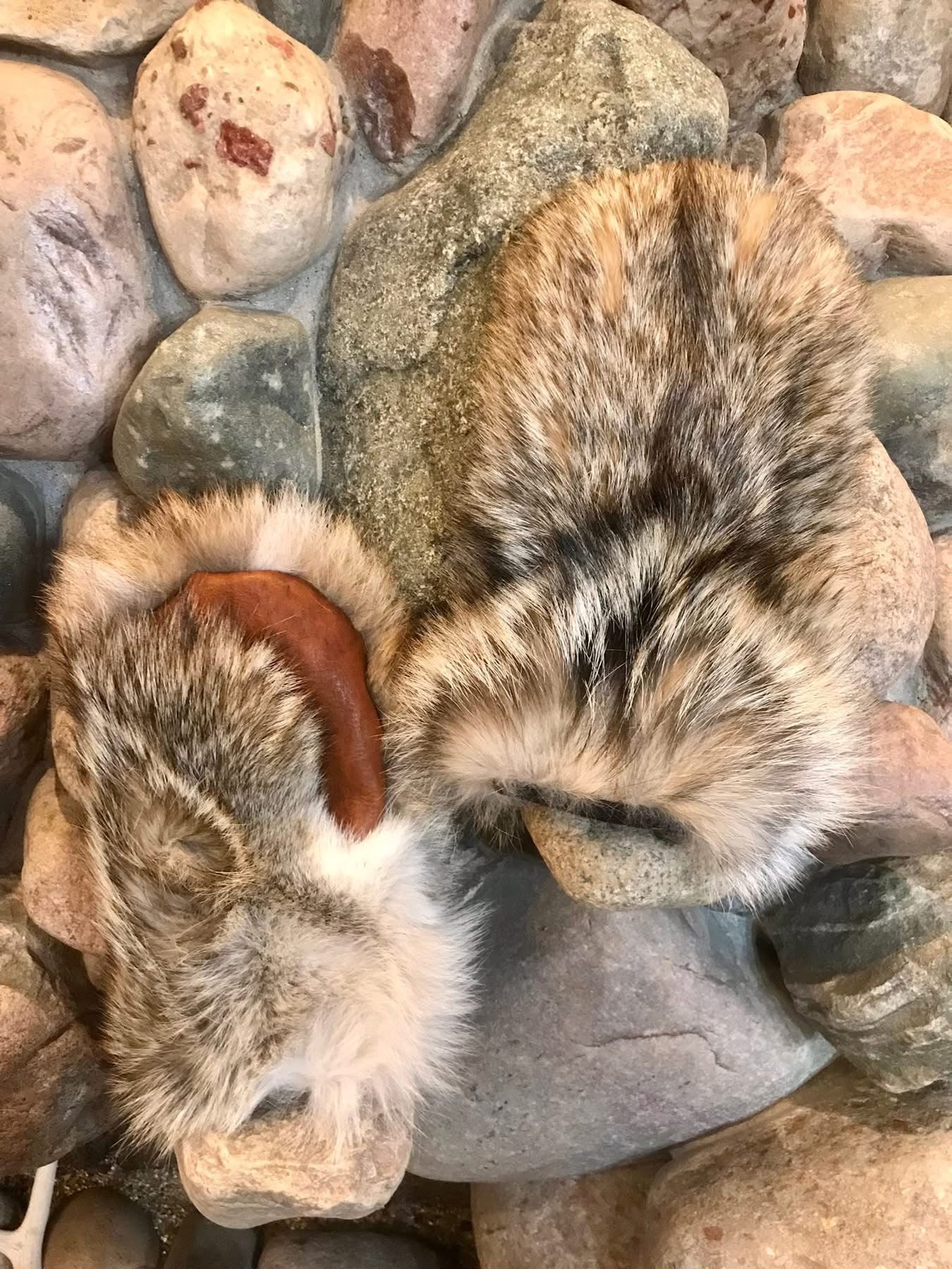 COYOTE MITTENS