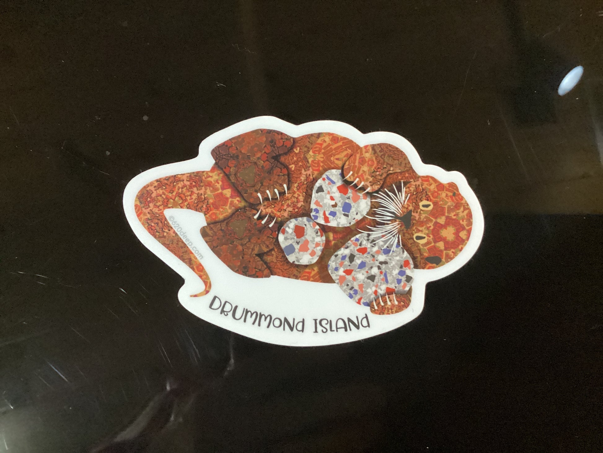 OTTER PUDDINGSTONE STICKER